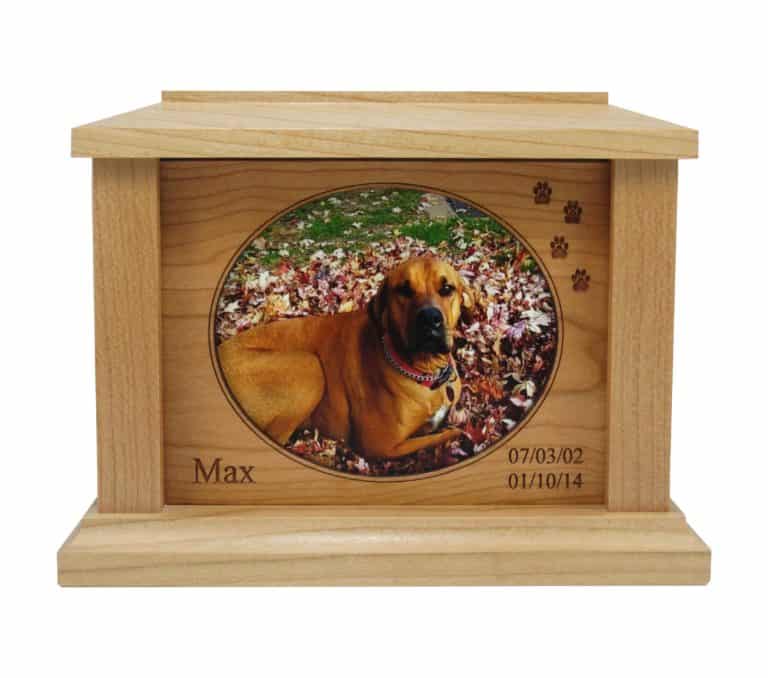 How Much Does Dog Cremation Cost? Memorial Cremations